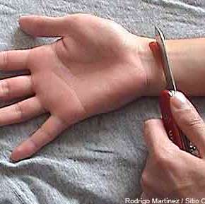 EL PODER DE LA&nbsp;MENTE