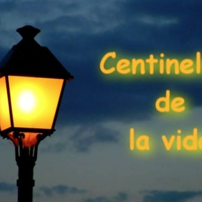 CENTINELAS DE LA VIDA   DOCUMENTAL SOBRE LA SENSIBILIDAD QUÍMICA&nbsp;MÚLTIPLE