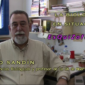 La Biología en situación esquizofrénica · Entrevista con Máximo&nbsp;Sandín