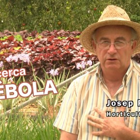 ÉBOLA… ¿DE VERDAD HAY PARA&nbsp;TANTO?