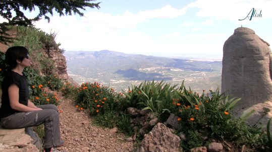 PEREGRINA DAVANT CAVALL BERNAT