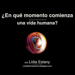 ¿EN QUÉ MOMENTO COMIENZA UNA VIDA&nbsp;HUMANA?